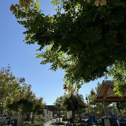The Parkhouse @ Shady Trails - Willow Park in Shady Trails