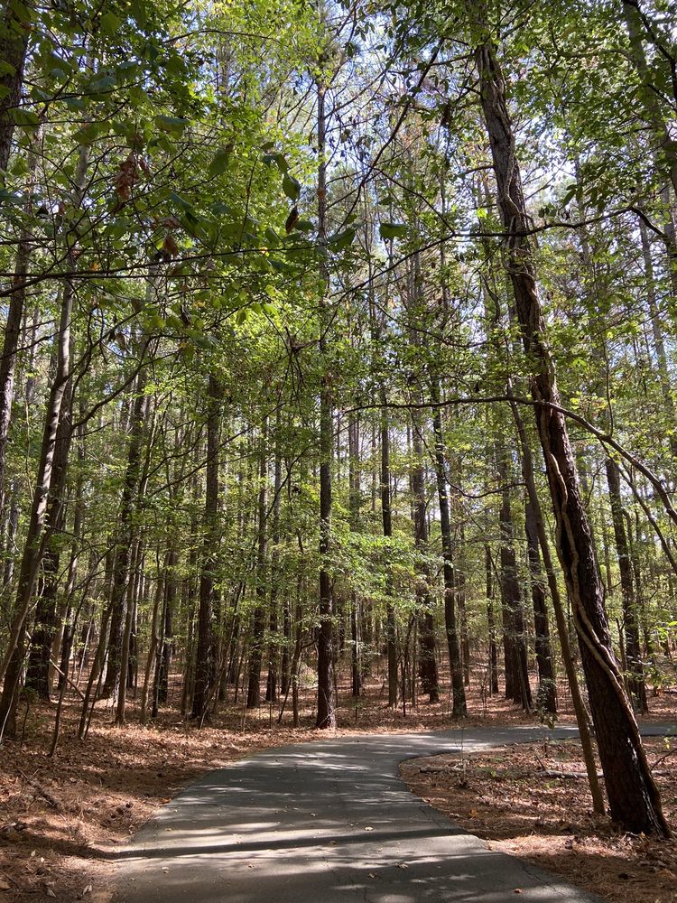 LAKE NORMAN COVE AT JETTON Updated June 2024 19415 Makayla Ln