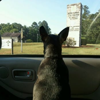 Rock Eagle 4-H Center - Peanut loves Rock Eagle - Recreation Centers Near Me - Eatonton, Georgia Rock Eagle 4-H Center - Peanut loves Rock Eagle - Recreation Centers Near Me - Eatonton, Georgia