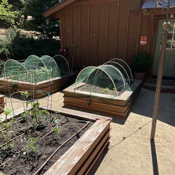 Sycamore Ranch Winery & Cidery - a row of raised garden beds - Wine Tasting Room Near Me - Crestline, California Sycamore Ranch Winery & Cidery - a row of raised garden beds - Wine Tasting Room Near Me - Crestline, California