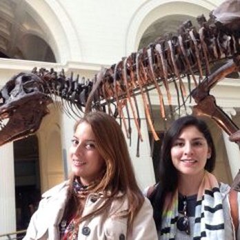 Field Museum - Museums Near Me - Chicago, Illinois