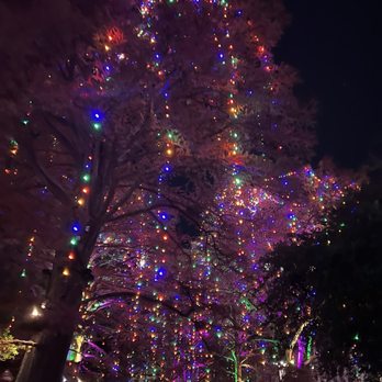 San Antonio River Walk - Lights - Tours Near Me San Antonio River Walk - Lights - Tours Near Me