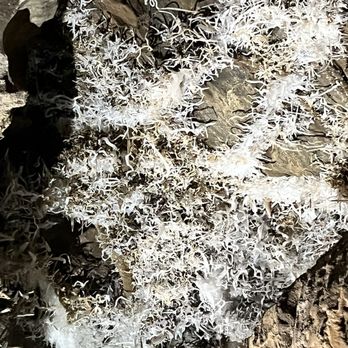 Black Chasm Cavern - Tours Near Me - Volcano, California