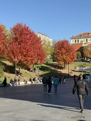 Great Pond of El Retiro by null