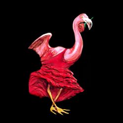 PAZ-ART - Flamingo Dancer prints available 5x7 in paper print $10 8x12 in canvas $40