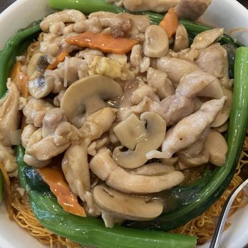 Tam’s Noodle House - Chicken chow mein - Hong Kong Style Cafe Near Me - Rowland Heights, California Tam’s Noodle House - Chicken chow mein - Hong Kong Style Cafe Near Me - Rowland Heights, California