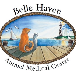 Belle Haven Animal Medical Centre