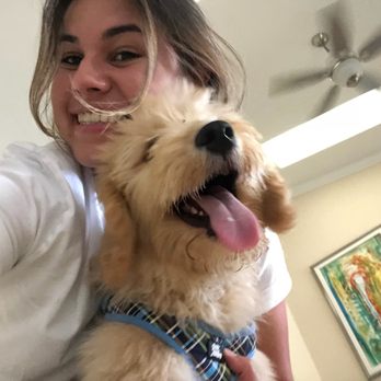 Pet Sitting at Weston - Pet Sitting Near Me Pet Sitting at Weston - Pet Sitting Near Me