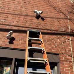 Lifelong Electrical