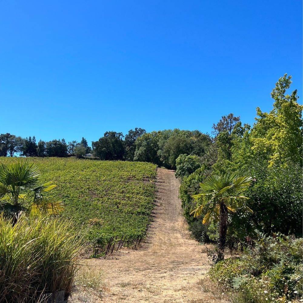 Iron Horse Vineyards - Wineries Near Me - Sebastopol, California Iron Horse Vineyards - Wineries Near Me - Sebastopol, California