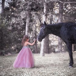 Truly Sublime Photography