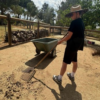 Alpine Acres Sanctuary Farm - Volunteering and cleaning up in the goat area - Ranches Near Me - Alpine, California Alpine Acres Sanctuary Farm - Volunteering and cleaning up in the goat area - Ranches Near Me - Alpine, California