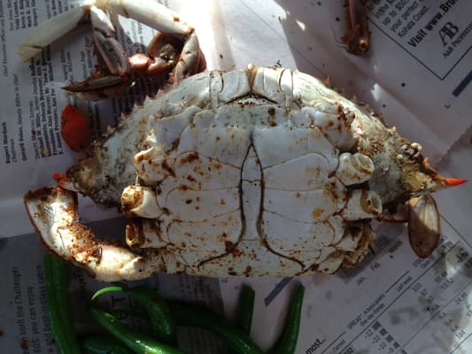 Fenwick Crab House by null