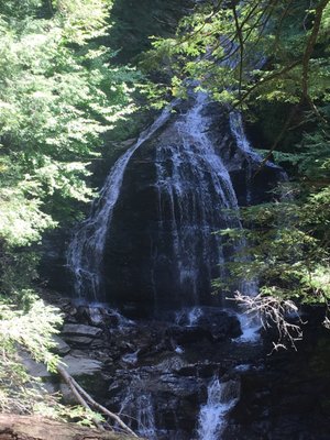 Moss Glen Falls by null