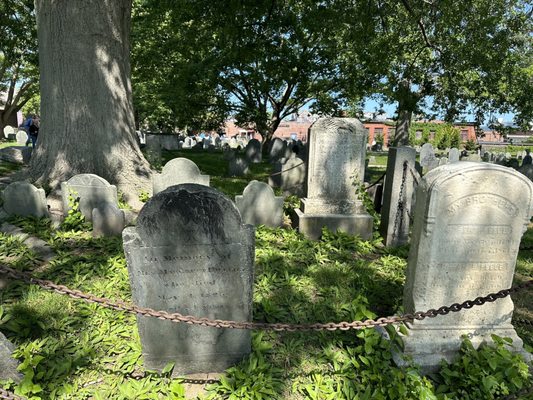 The Burying Point by null