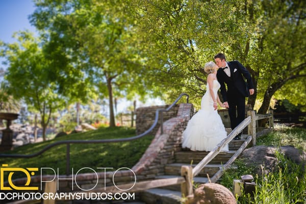 Holland Park West by null