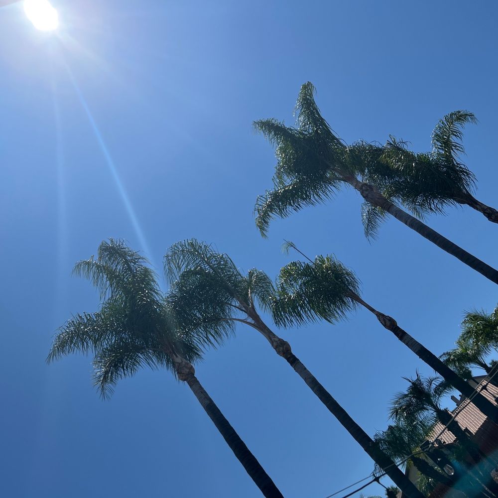 Freddie’s Tree Service - Tree Services Near Me