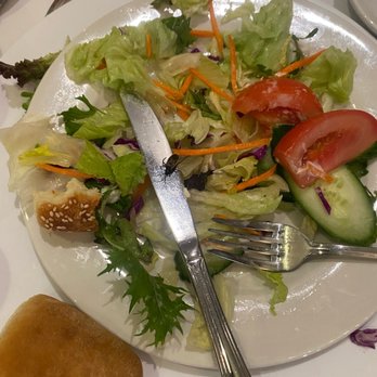 Long Beach Marriott - The insect that was still alive on my plate - Hotels Near Me - Long Beach, California Long Beach Marriott - The insect that was still alive on my plate - Hotels Near Me - Long Beach, California