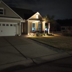 Lowcountry Lawn In Order - New Landscape Bed with Landscape Lighting Installed