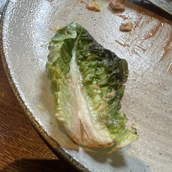 Wilted rotten lettuce