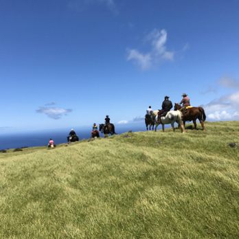 Paniolo Adventures - Horseback Riding Near Me Paniolo Adventures - Horseback Riding Near Me