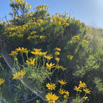 Mt Diablo Summit - Hiking Near Me - Clayton, California