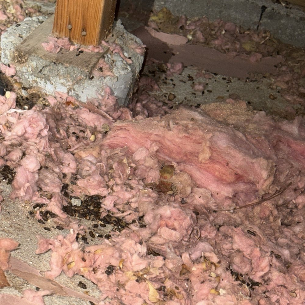 Attic Zain - Before cleaning - Insulation Installation Near Me - Hayward, California Attic Zain - Before cleaning - Insulation Installation Near Me - Hayward, California