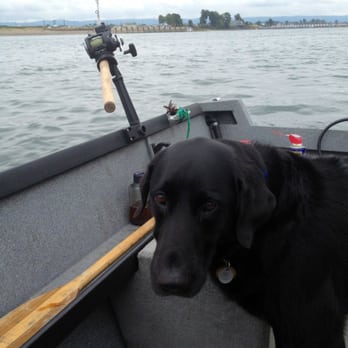 Humane Society For Southwest Washington - I came from this humane society and now I get to go fishing! - Animal Shelters Near Me - Longview, Washington Humane Society For Southwest Washington - I came from this humane society and now I get to go fishing! - Animal Shelters Near Me - Longview, Washington
