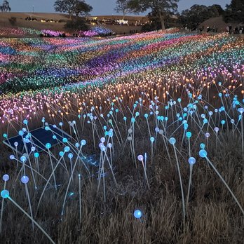 Sensorio - Light show - Art Galleries Near Me - Paso Robles, California Sensorio - Light show - Art Galleries Near Me - Paso Robles, California