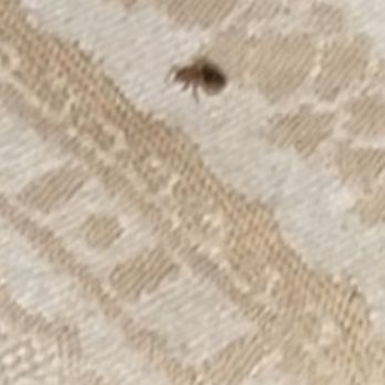 Hudson House River Inn - Bed bug - Bed & Breakfast Near Me - Cold Spring, New York