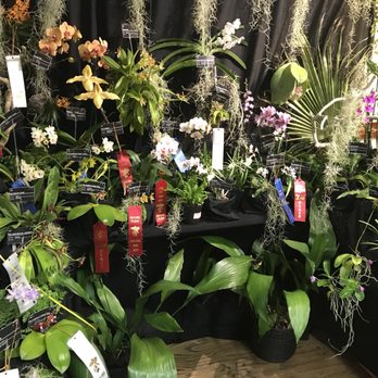 LSU Agcenter Botanic Gardens - Botanical Gardens Near Me - Baton Rouge, Louisiana