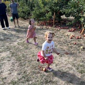 Bell's Orchard - Fruits & Veggies Near Me - Beaverton, Oregon