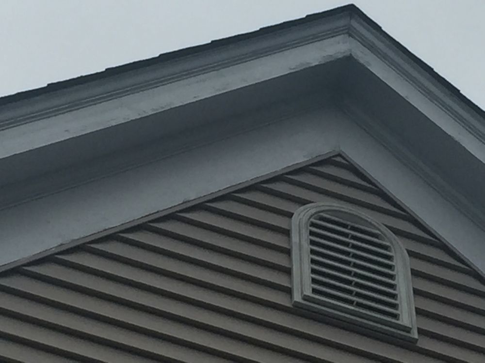 TOPLINE PAINTING SERVICES 11 Photos 1 Katherine St, Port Jefferson