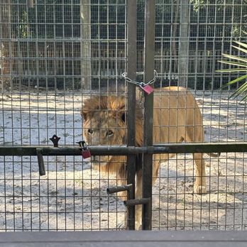 Zoological Wildlife Foundation - Zoos Near Me - Miami, Florida Zoological Wildlife Foundation - Zoos Near Me - Miami, Florida
