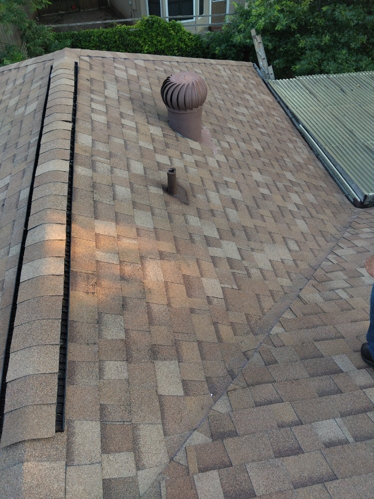 Slide of The Roof Goose