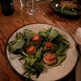 Collina - Scallops - Italian Near Me - San Francisco, California