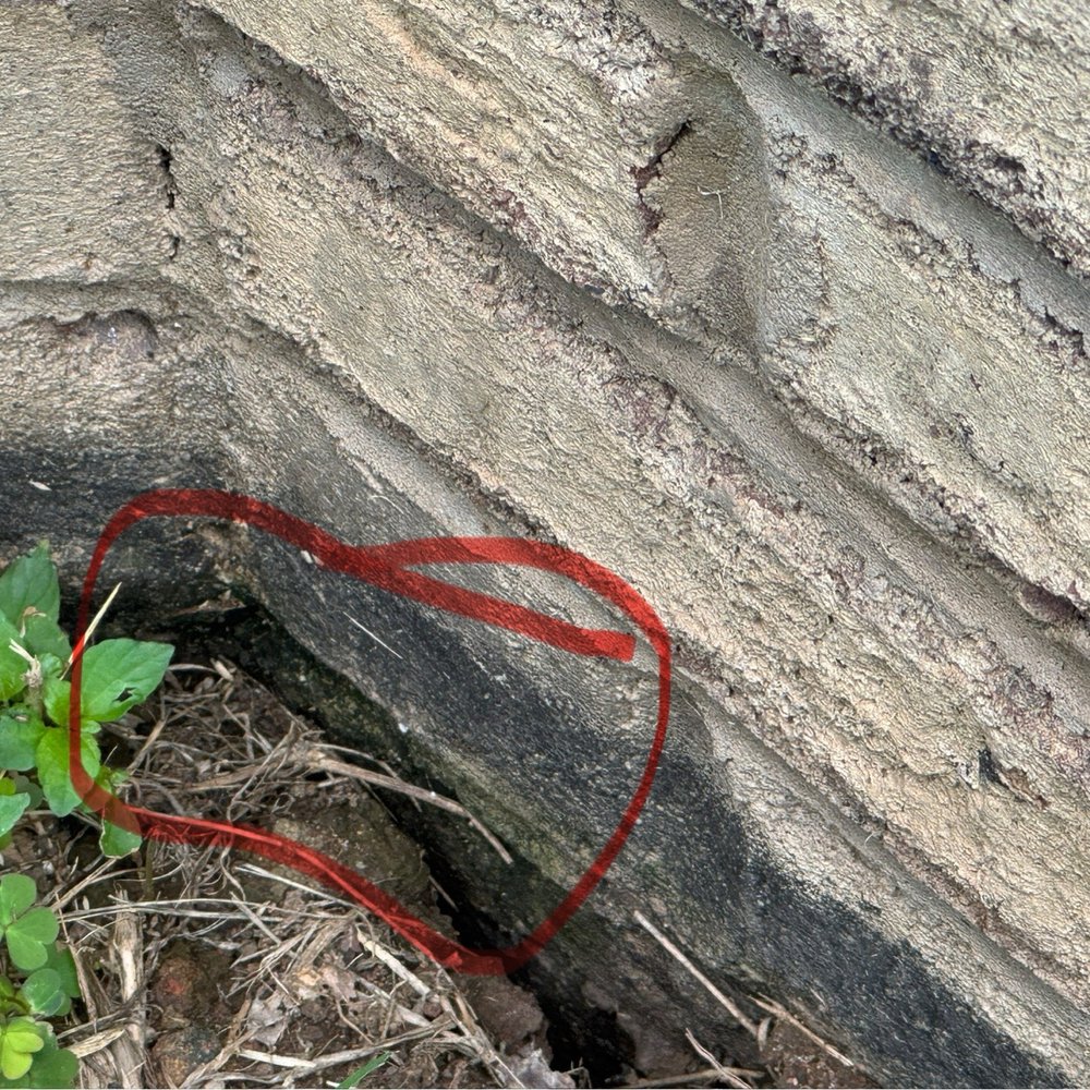 Area where ants are originating from. Area where ants are originating from.