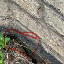 Area where ants are originating from.