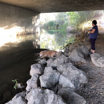 Los Gatos Creek Trail - Under Hwy 85 - Parks Near Me - Campbell, California
