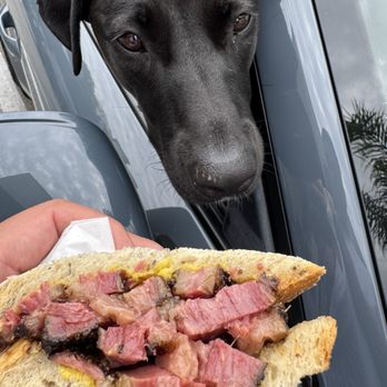Daughter’s Deli - Pastrami so good that even my dog behaves for a little bite - Bagels Near Me - Los Angeles, California Daughter’s Deli - Pastrami so good that even my dog behaves for a little bite - Bagels Near Me - Los Angeles, California