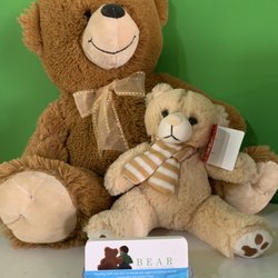 Bear - BEAR- Be a Resource