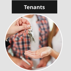 Blue Armadillo Property Management
