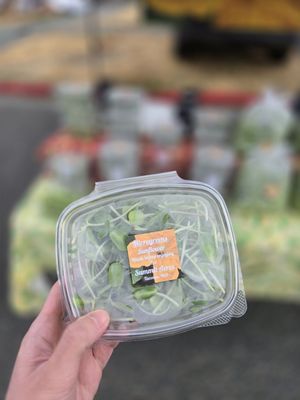 Proctor Farmers' Market by null