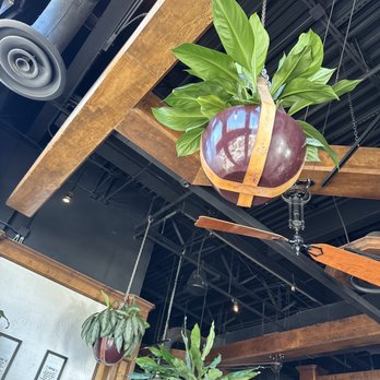 Black Walnut - Inside - New American Near Me - Houston, Texas