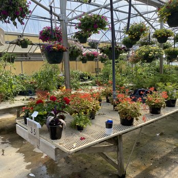Country Place Greenhouse - Nurseries & Gardening Near Me - Springfield, Kentucky
