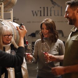 Willful Wine - Barrel Tour Tasting Experience