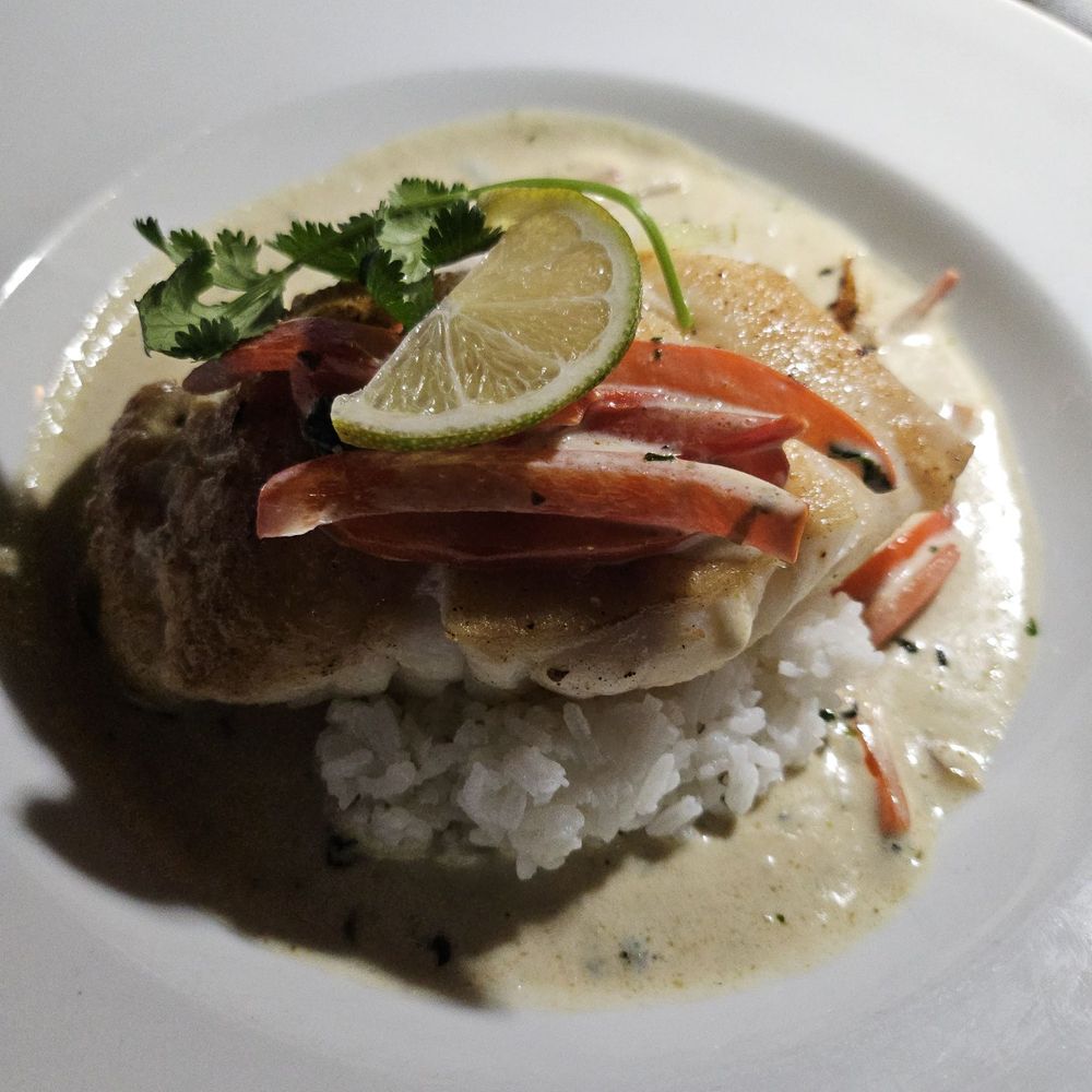 The Cottage - Grouper Curry - New American Near Me - Sarasota, Florida The Cottage - Grouper Curry - New American Near Me - Sarasota, Florida