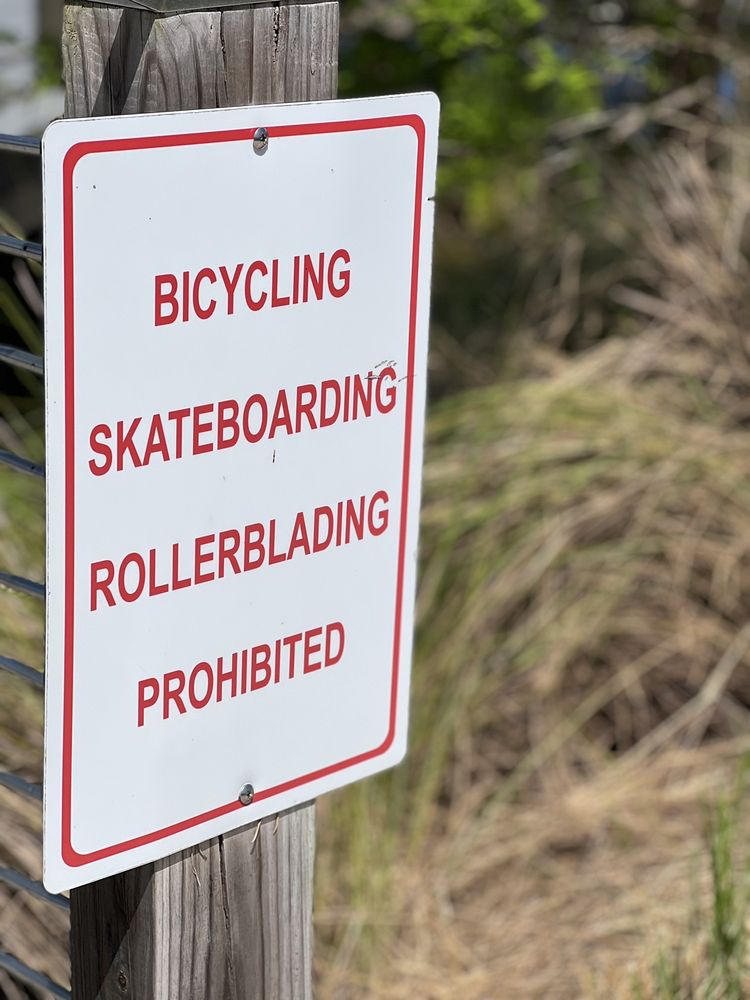 Lake Minneola Scenic Trail Image