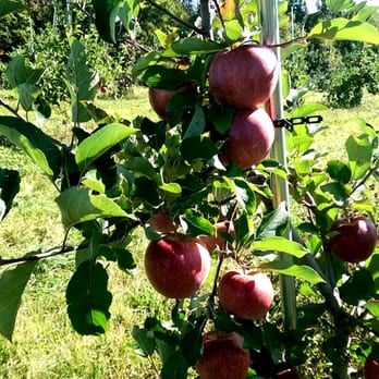 Wright's Farm - Fruits & Veggies Near Me - Gardiner, New York