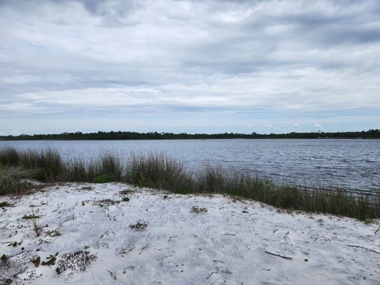 Grayton Beach State Park by null